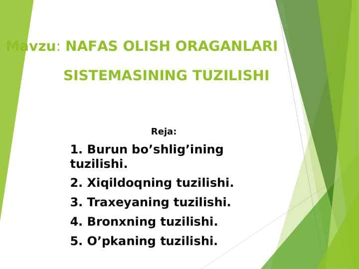 NАFАS ОLISH ОRАGАNLАRI SISTЕMАSINING TUZILISHI