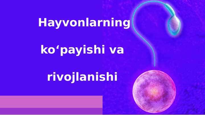 Hayvonlarning ko‘payishi va rivojlanishi