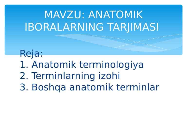 ANATOMIK IBORALARNING TARJIMASI