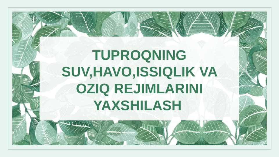 Tuproqning suv, havo, issiqlik va oziq rejimlarini yaxshilash