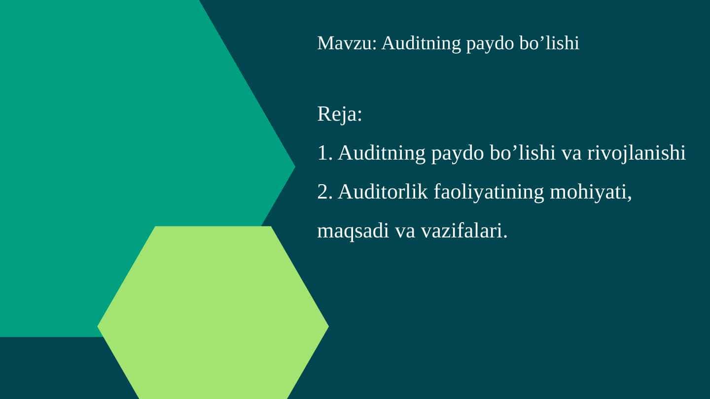 Auditning paydo bo’lishi