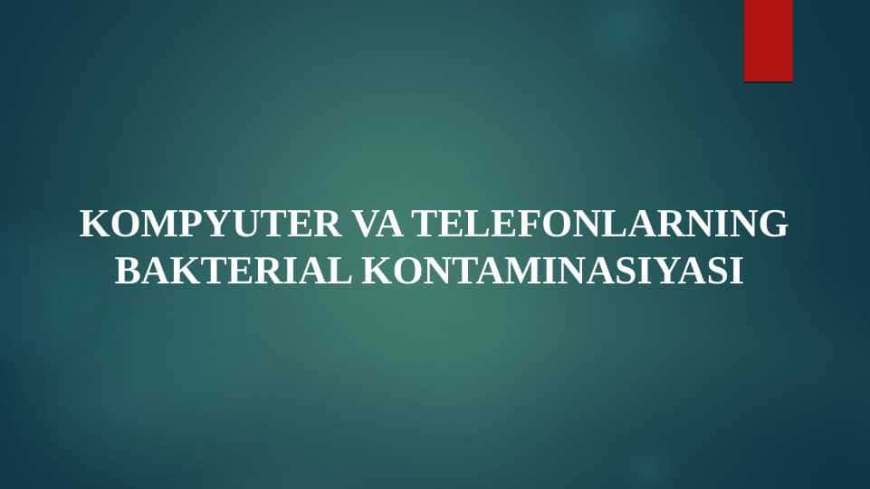 Kompyuter va Telefonlarning bakterial kontaminasiyasi