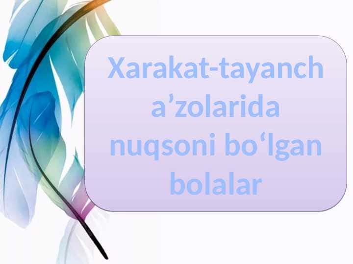 Xarakat-tayanch a’zolarida nuqsoni bo‘lgan bolalar