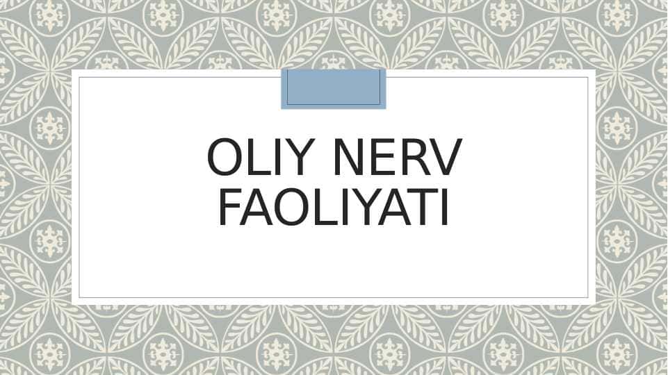 Oliy nerv faoliyati