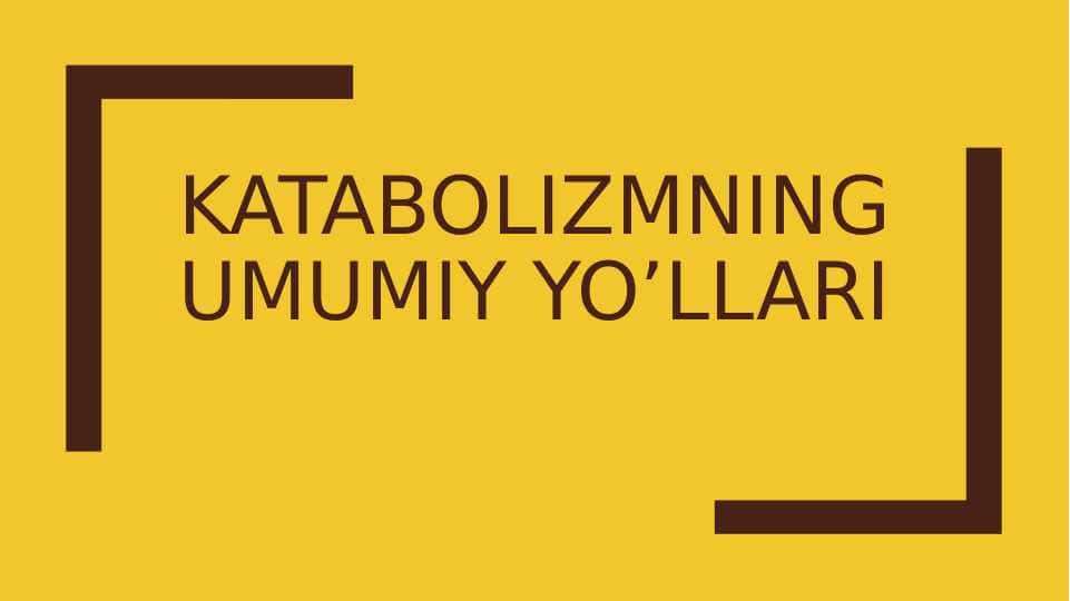 Katabolizmning umumiy yo'llari