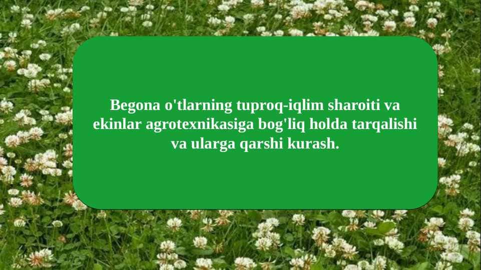 Begona o'tlarning tuproq-iqlim sharoiti va ekinlar agrotexnikasiga bog'liq holda tarqalishi va ularga qarshi kurash.