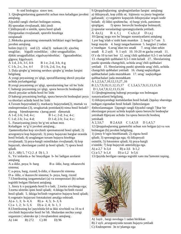 6-sinf biologiya sinov test