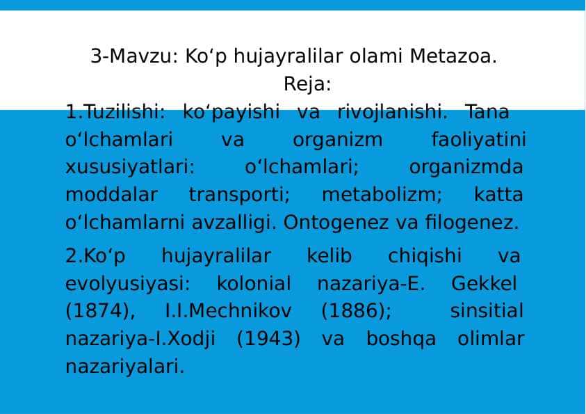 3-Mavzu: Ko‘p hujayralilar olami. Metazoa.