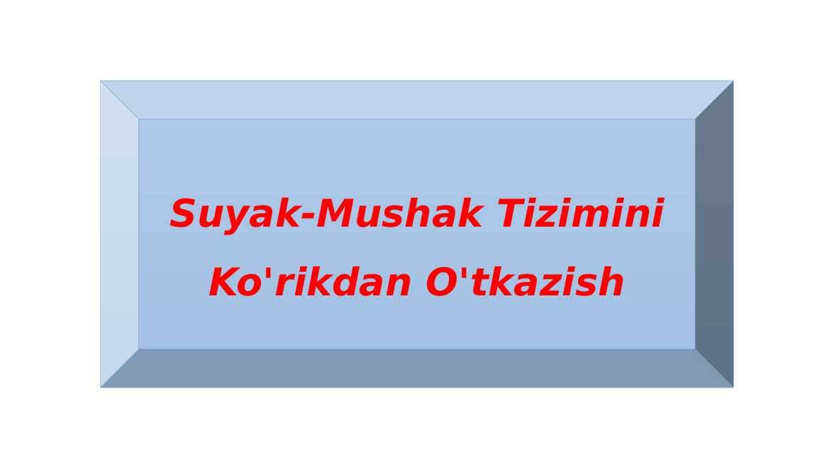 Suyak-Mushak Tizimini Ko'rikdan O'tkazish