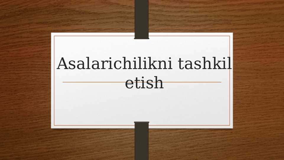 Asalarichilikni tashkil etish va boshqarish
