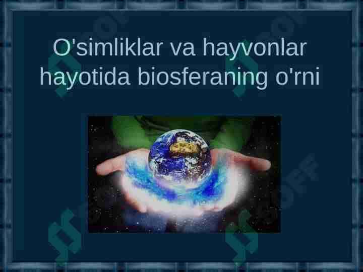 O'simliklar va hayvonlar hayotida biosferaning o'rni