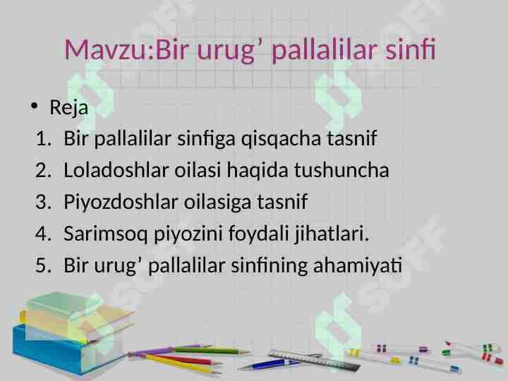 Bir urug’ pallalilar sinfi