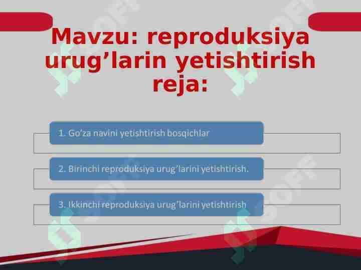 reproduksiya urug’larin yetishtirish