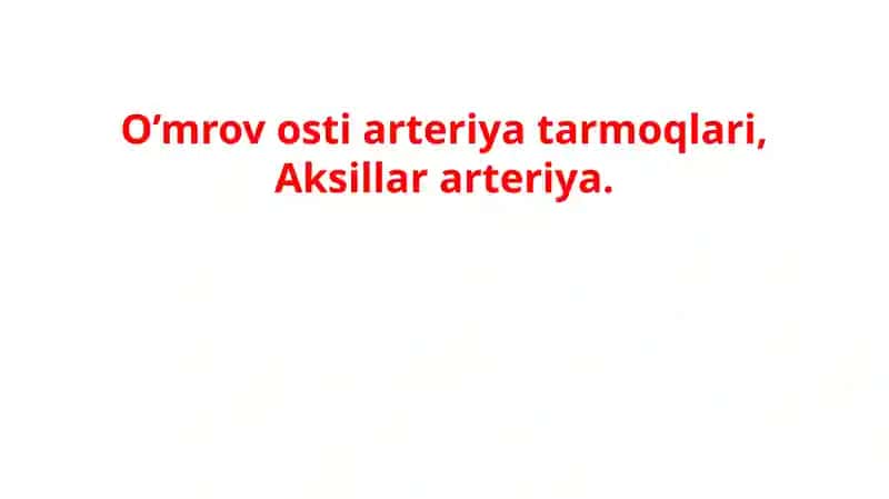 O’mrov osti arteriya tarmoqlari, Aksillar arteriya.