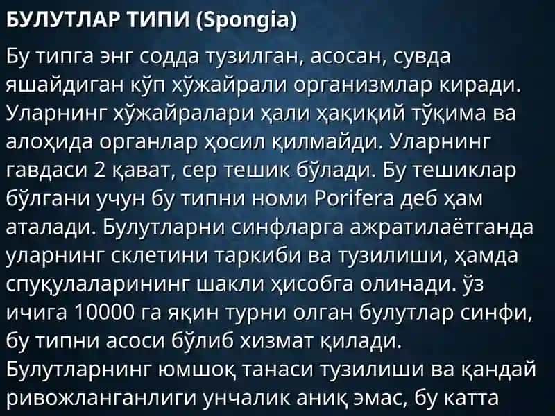 БУЛУТЛАР ТИПИ (Spongia)