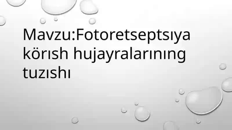 Fotoretseptsıya körısh hujayralarınıng tuzıshı