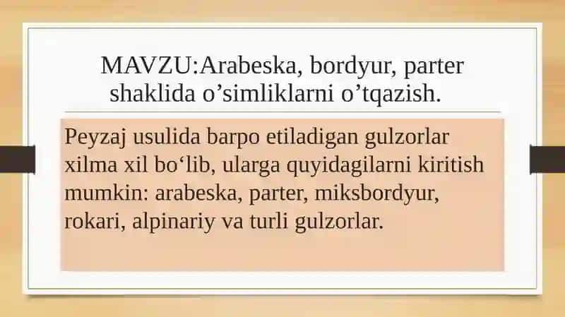 Arabeska, bordyur, partershaklidao’simliklar