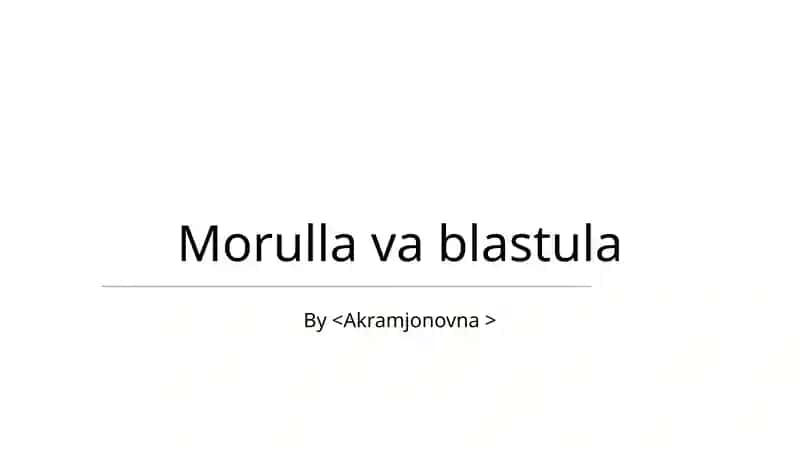 Morulla va Blastula