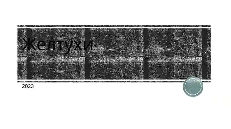 Желтухи