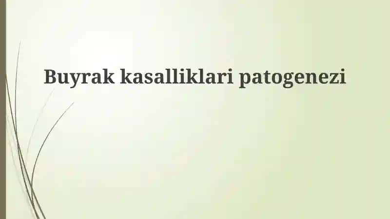 Buyrakkasalliklaripatogenezi