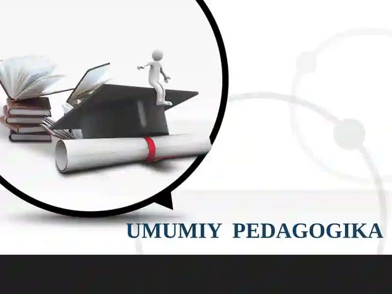 ILKVA MAKTABGACHA YOSHDAGI BOLALAR PEDAGOGIKASI