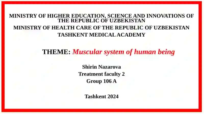 Muscular system of human being
