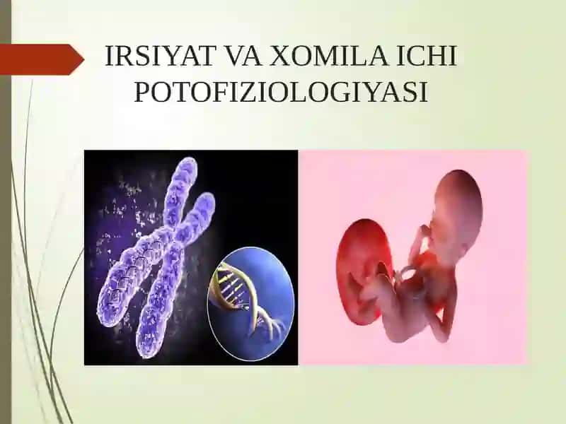 IRSIYAT VA XOMILA ICHI PATOFIZIOLOGIYASI