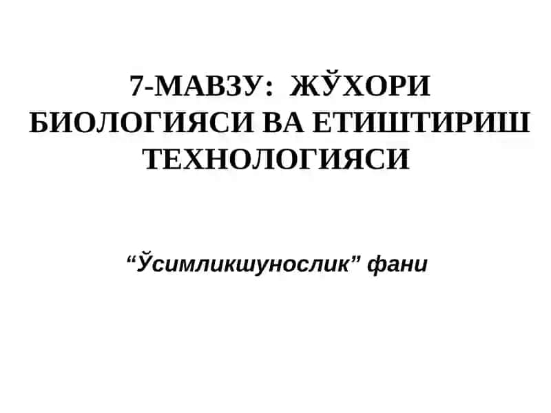 ЖЎхори биологияси ва етиштириш технологияси