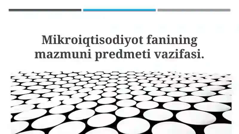 Mikroiqtisodiyot