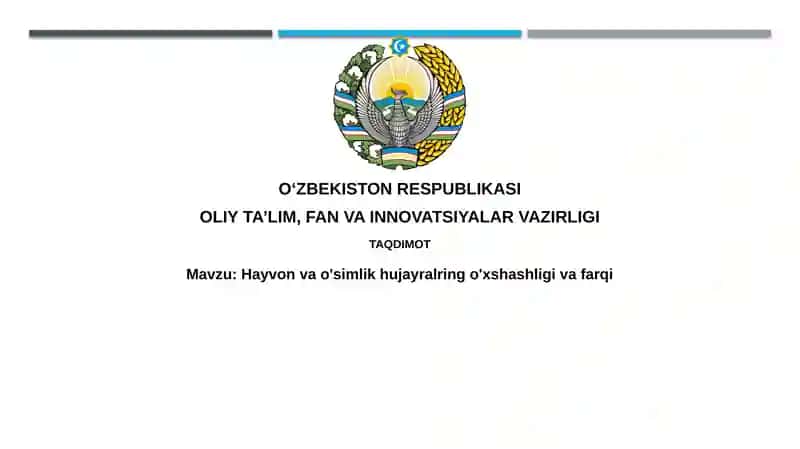 Hayvon va o'simlik hujayralarining farqlari