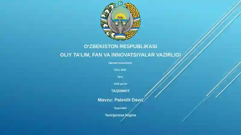 Paleolit Davri