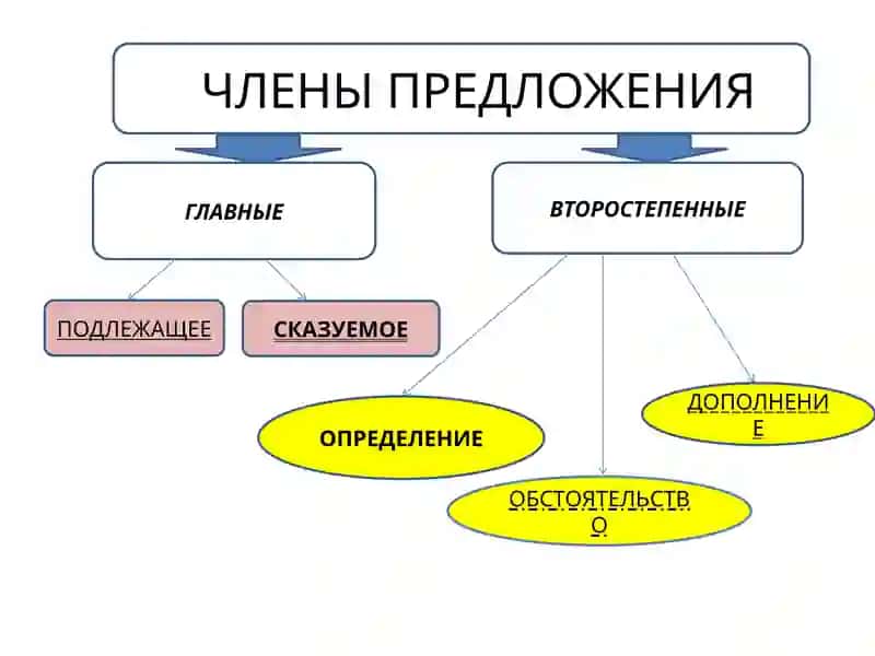 Члены предложения