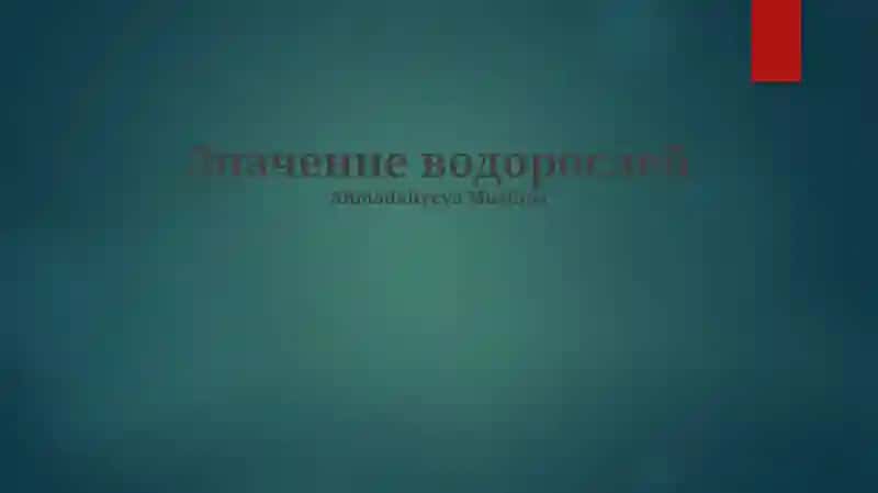 Значение водорослей