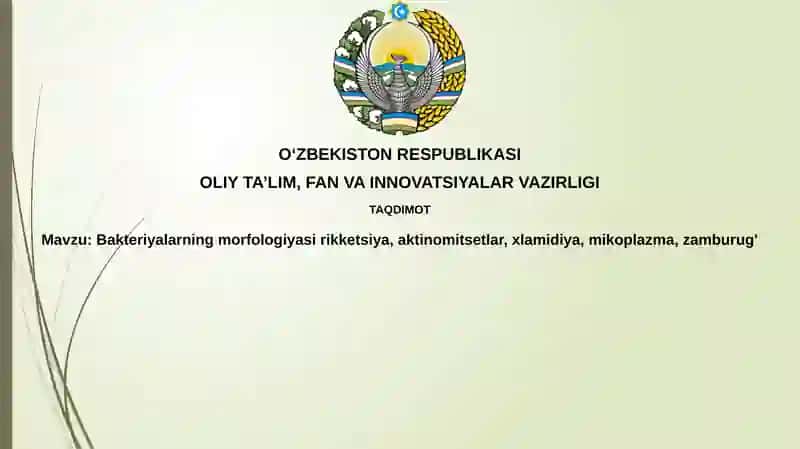 Bakteriyalarning morfologiyasi