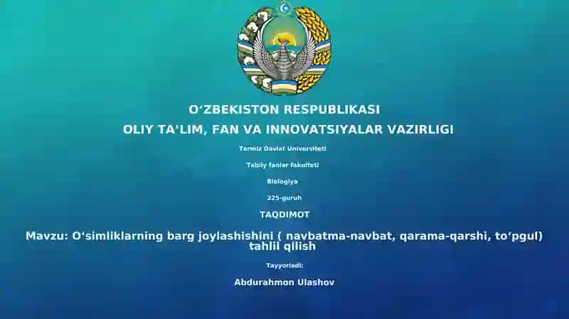 O'simliklarning barg joylashishini (navbatma-navbat, qarama-qarshi, to'pgul) tahlil qilish