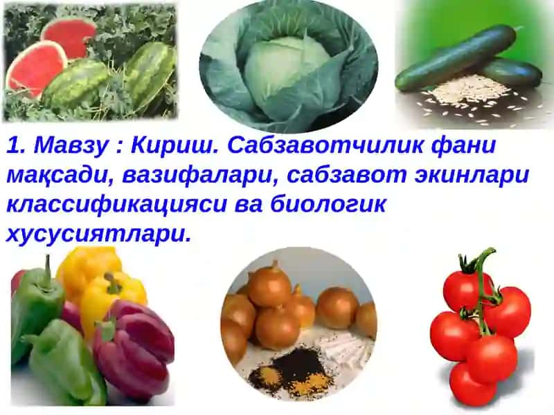Сабзавотчилик фани