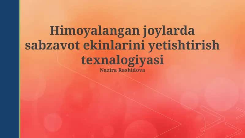 Himoyalangan joylarda sabzavot ekinlarini yetishtirish texnologiyasi