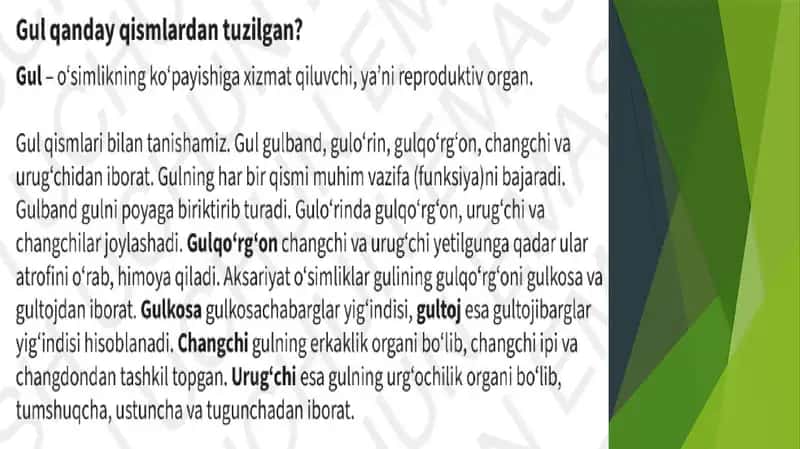 Topshiriqlar