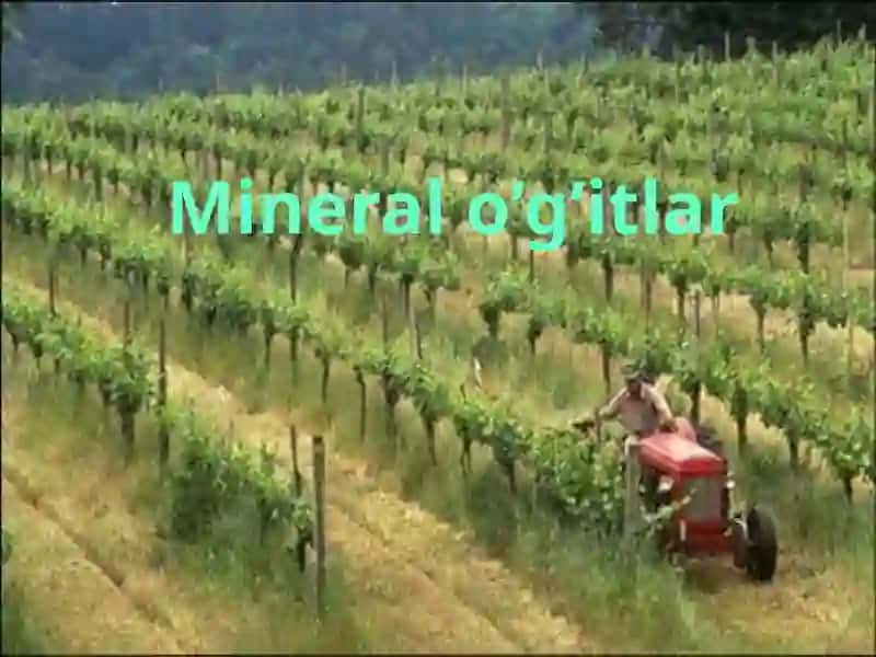 Mineral o’g’itlar