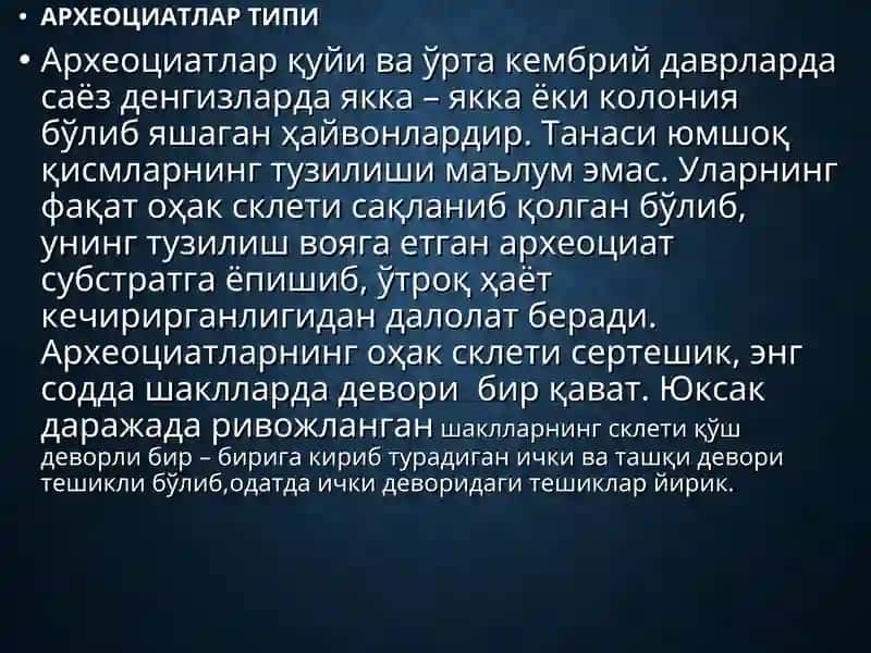 Археоциатлар Типи