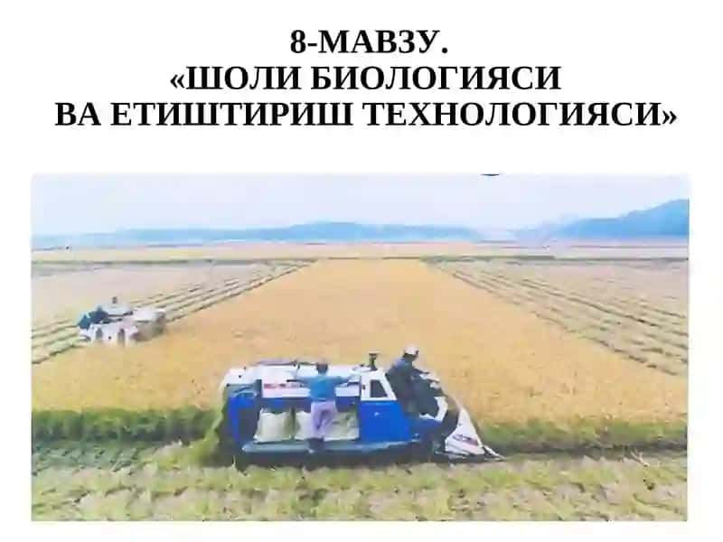 ШОЛИ БИОЛОГИЯСИ ВА ЕТИШТИРИШ ТЕХНОЛОГИЯСИ