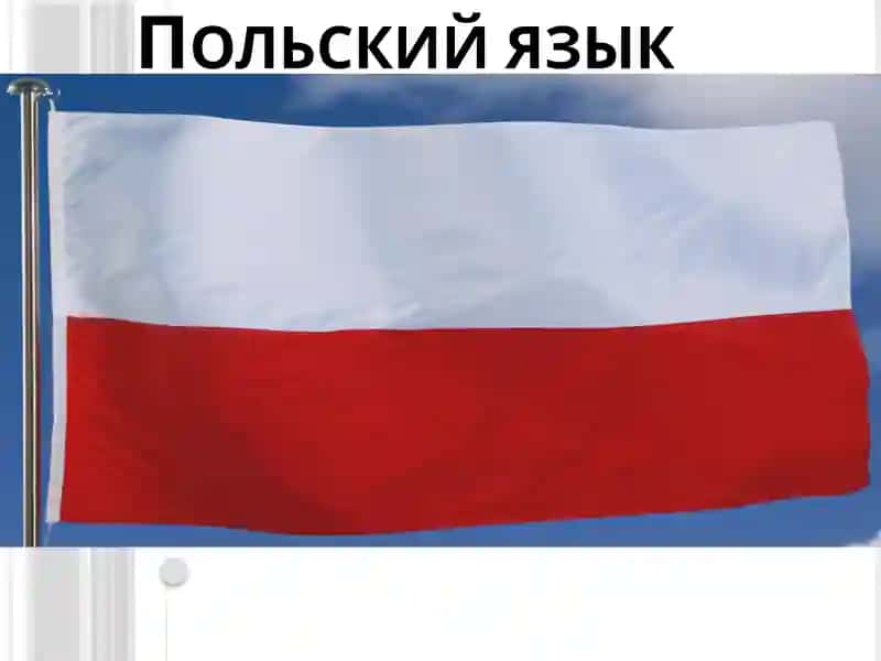 Польский язык