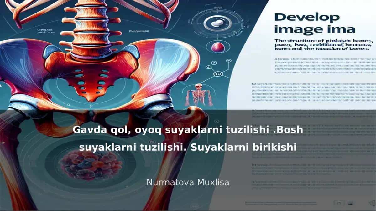 Inson Suyaklari Tuzilishi: Gavda, Qo'l, Oyoq va Bosh