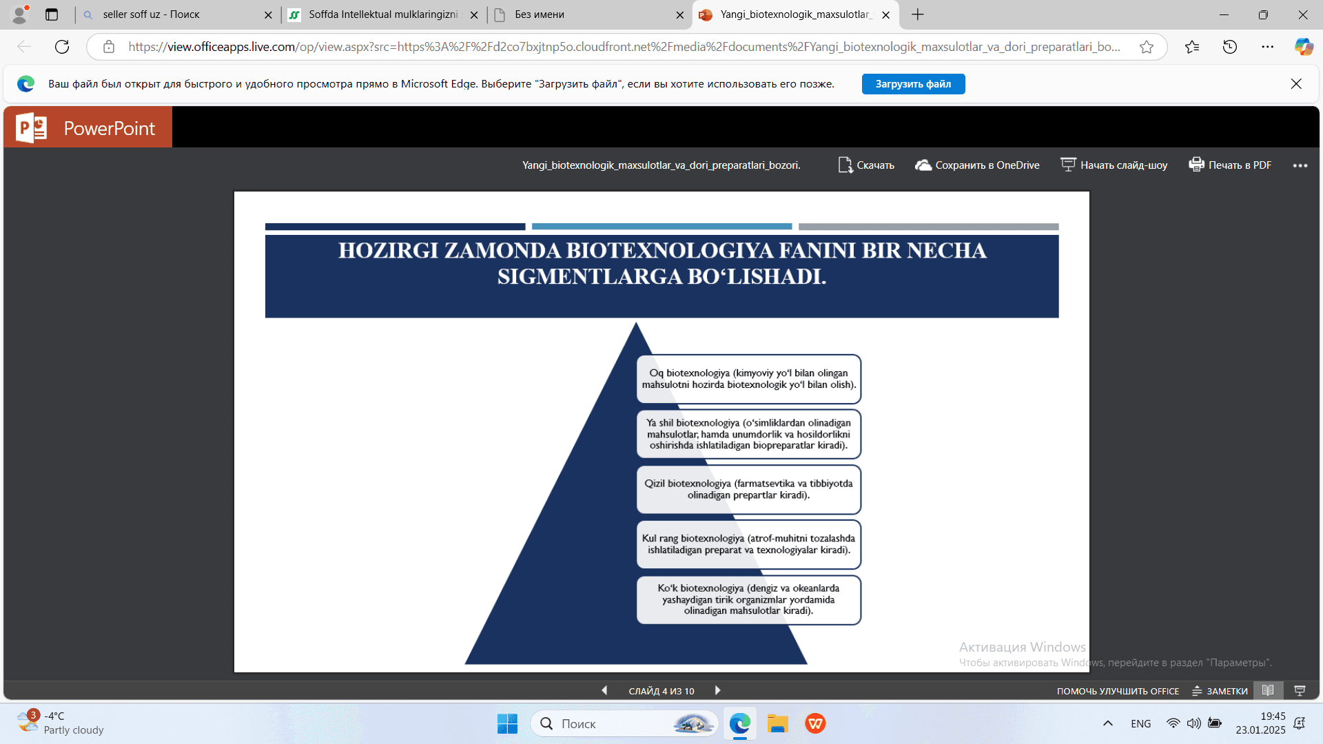 Qirquloq toifa o`simliklar bo`limi kurs ishi