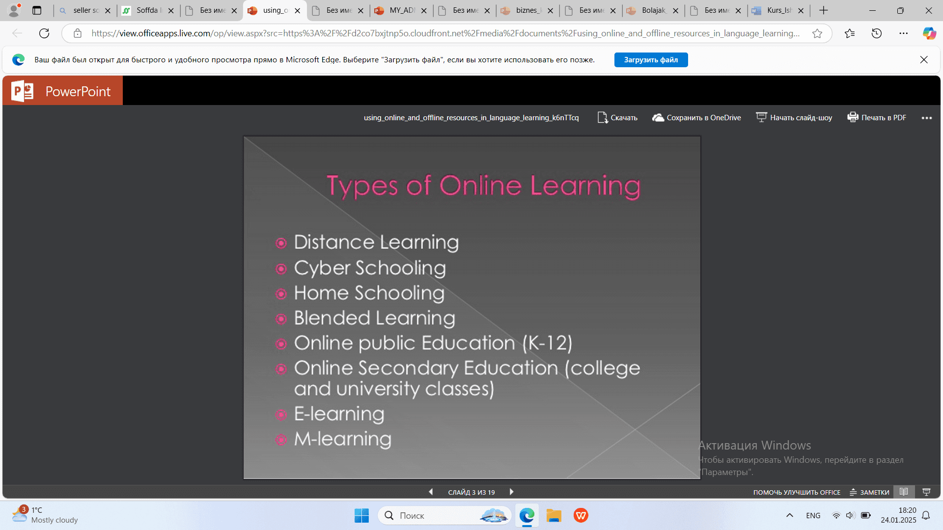 using online and offline resources in language learning