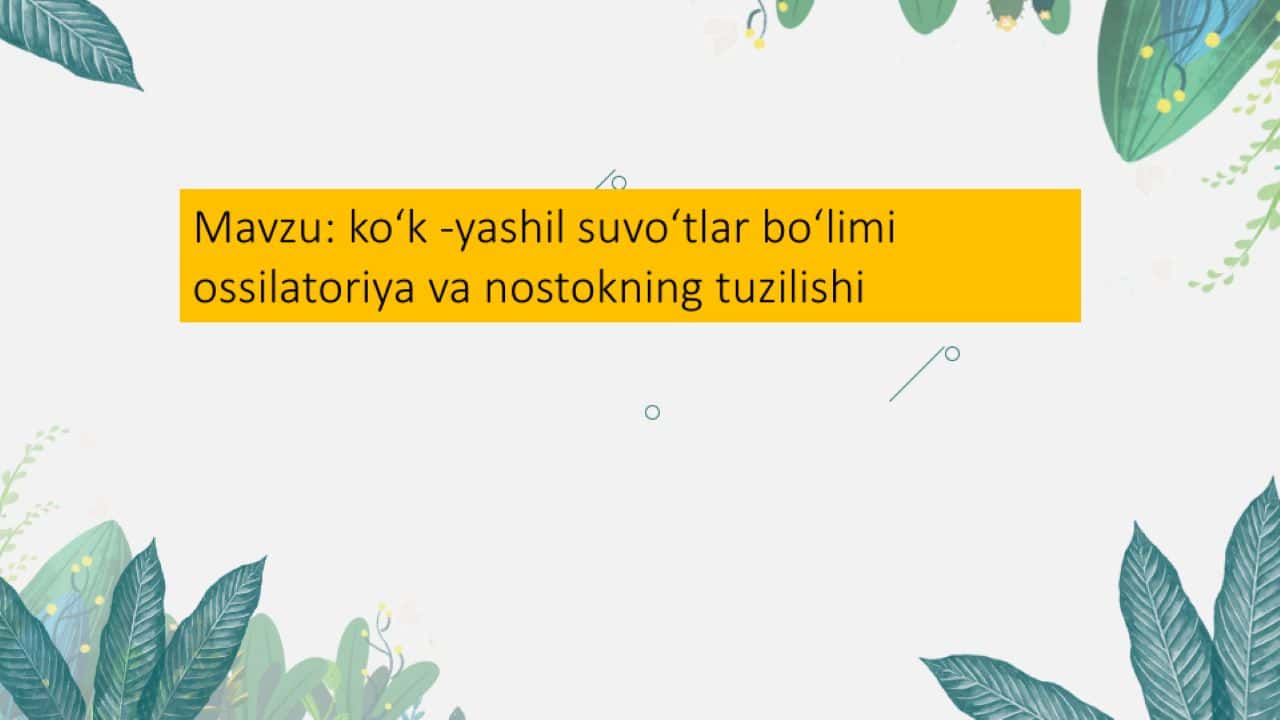 Koʻk yashil suvlar boʻlimi ossilatoriya va nostokning tuzilishi