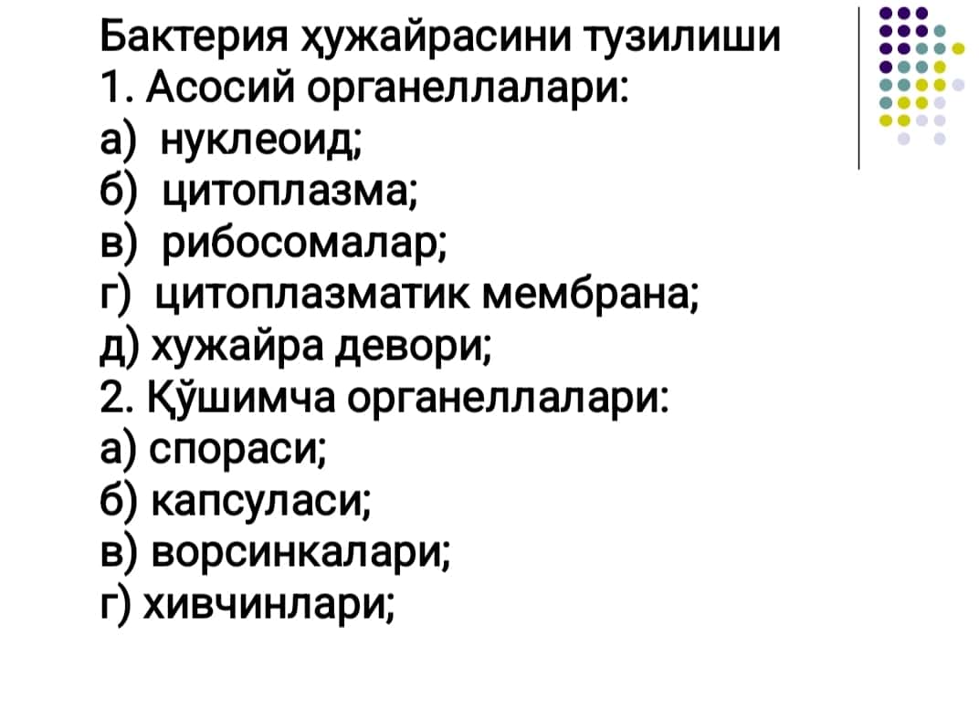 Микроорганизмларнинг ултраструктураси ва химиявий таркиби, улчамлари. Микробиологик амалиётдаги ахамияти.
