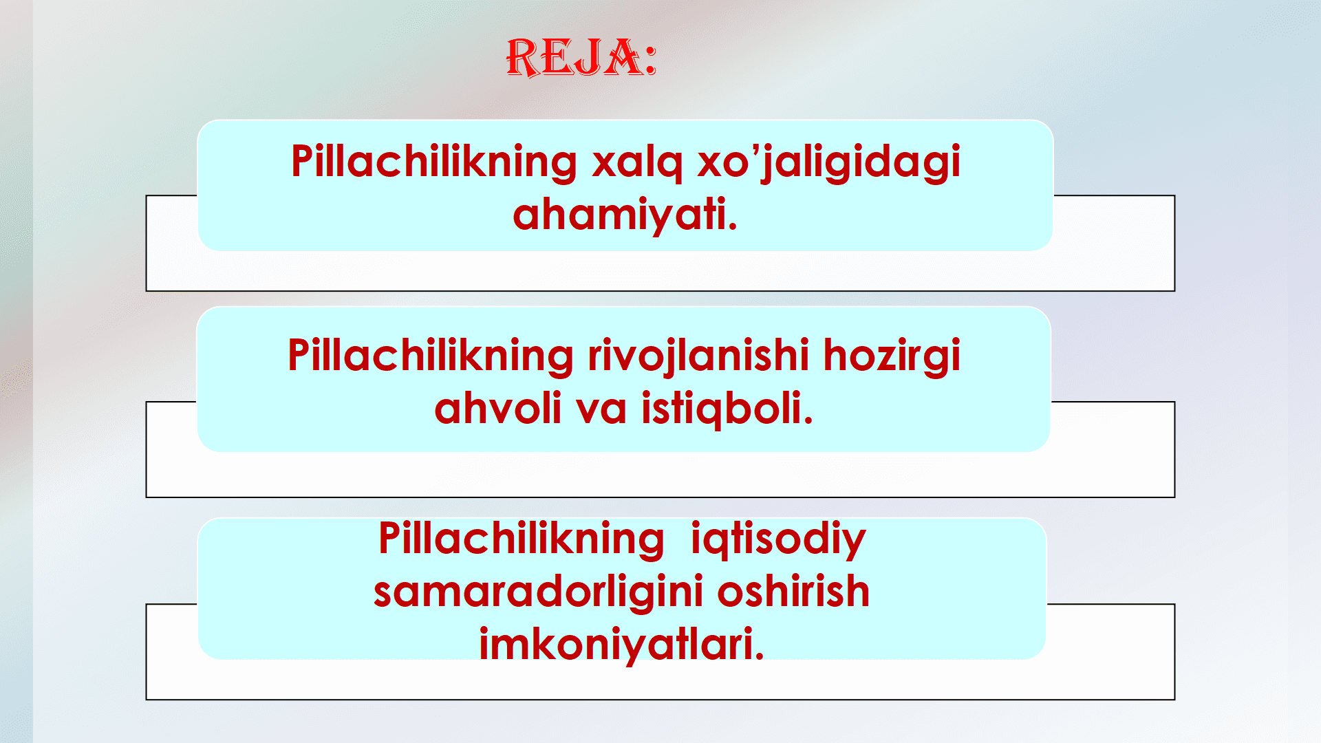 Pillachilikni tashkil etish.