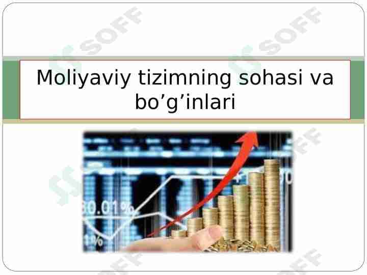 Moliya tizimining sohasi va bo'g'inlari