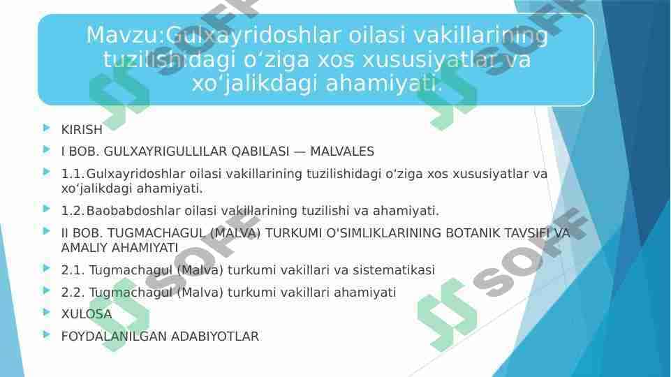 Gulxayridoshlar oilasi vakillarining tuzilishidagi o‘ziga xos xususiyatlar